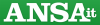 ansa